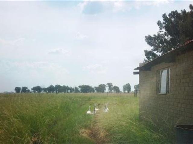 3 Bedroom Property for Sale in Bloemdal Free State